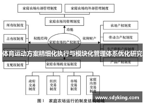 体育运动方案精细化执行与模块化管理体系优化研究